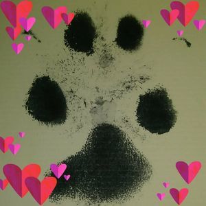 Meet your Posher, Pam